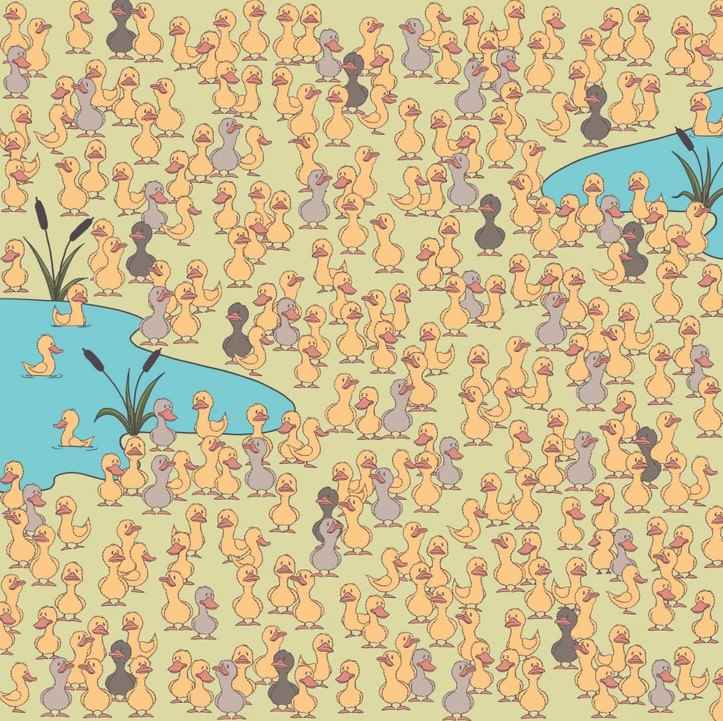 Paslaptis ir svarbiausia