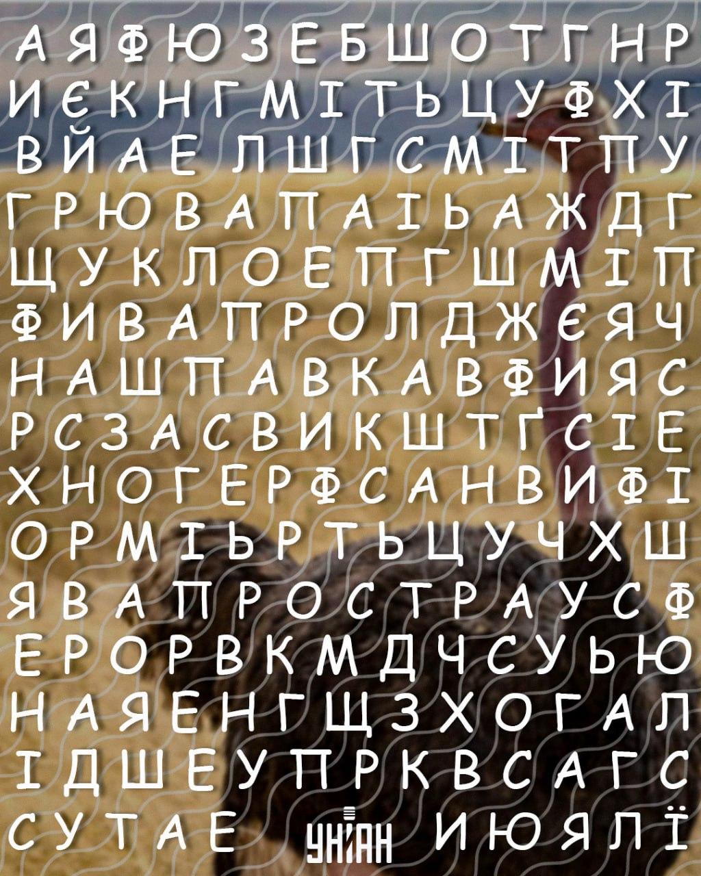 Tik aukštą intelekto koeficientą turintys žmonės per 10 sekundžių gali rasti žodį 