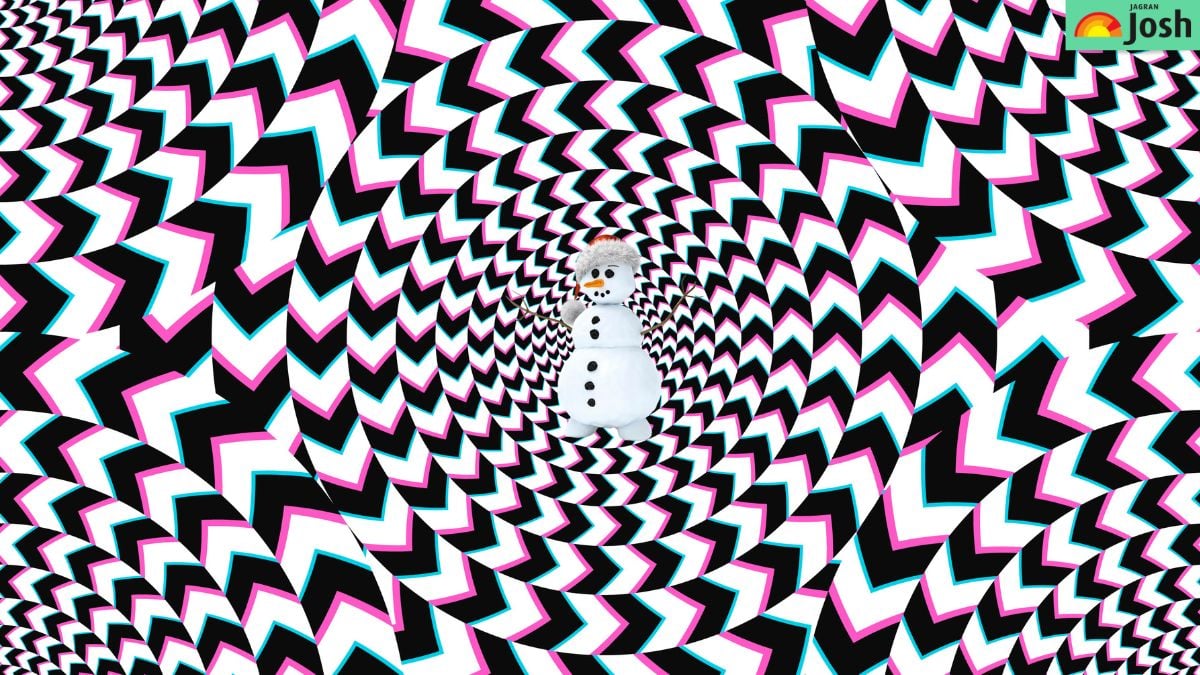 Dėlionė aštriam regėjimui: paslėptą paveikslėlį reikia surasti per 5 sekundes