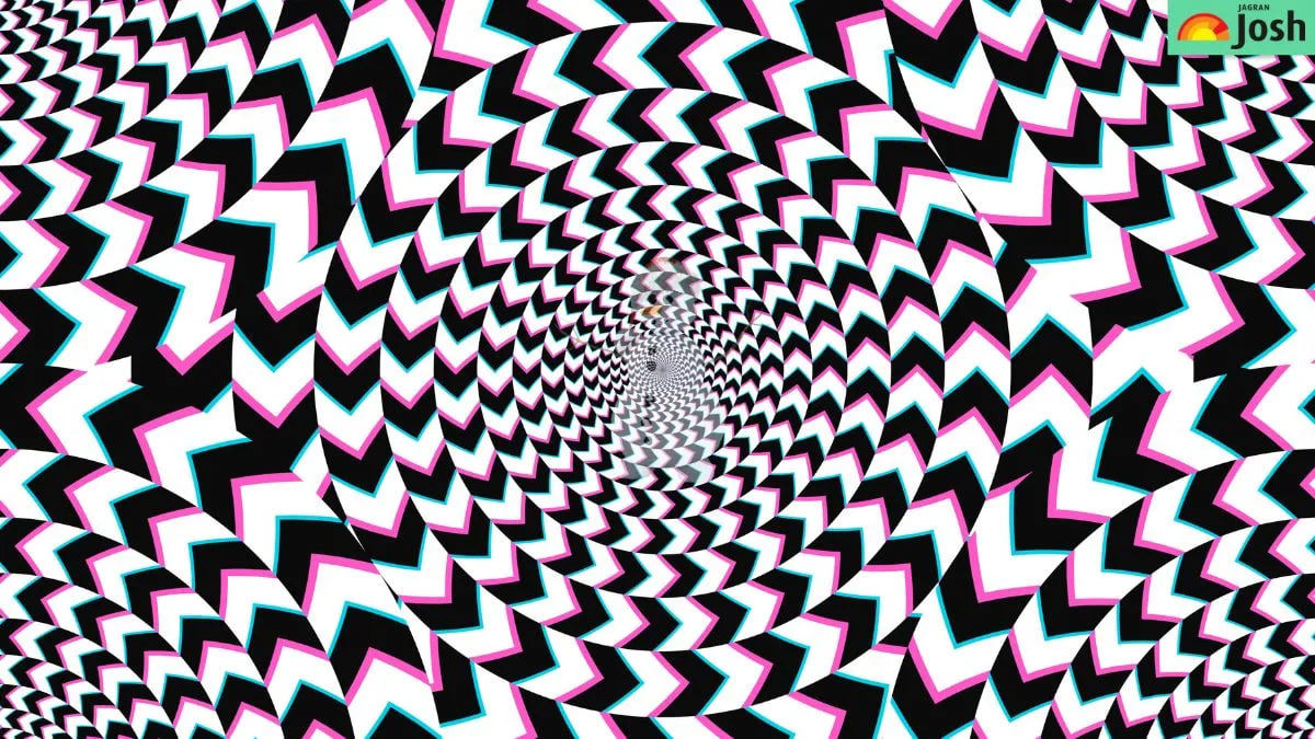 Mįslė aštriam regėjimui: paslėptą vaizdą reikia surasti per 5 sekundes