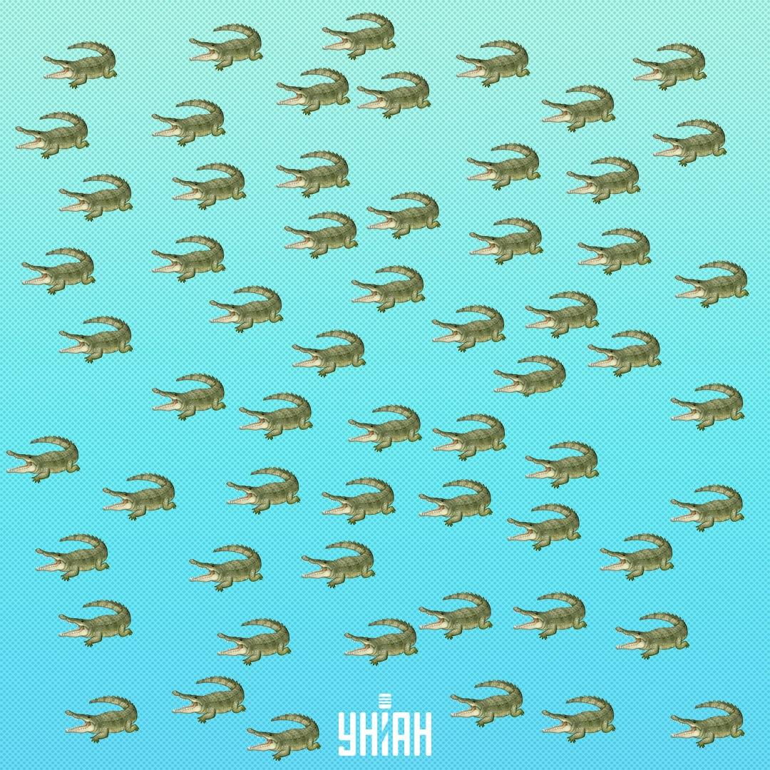 Roplys yra paslėptas, bet turėtumėte jį pamatyti per 15 sekundžių / Koliažas Moje