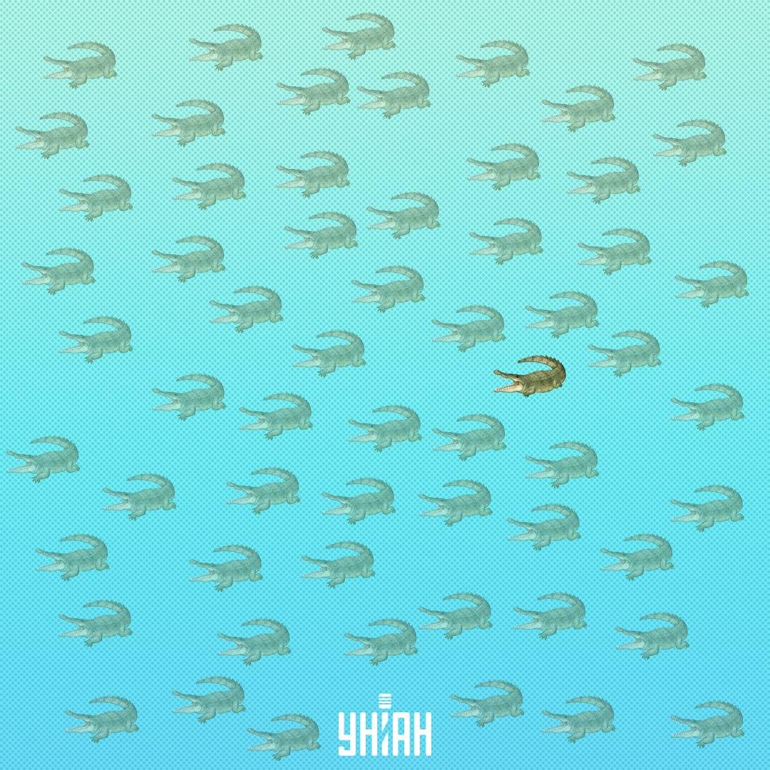 Jis turėtų būti arčiau centro, dešinėje pusėje / Moje Collage