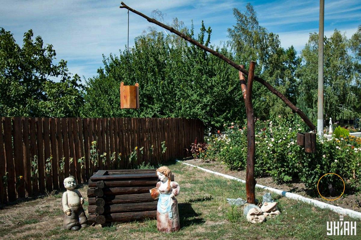 Katė buvo gėlyne / Moje koliažas