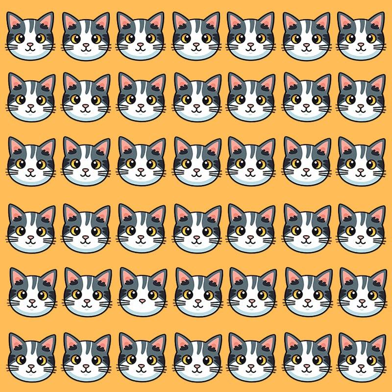 Ši optinė iliuzija įmanoma tik grandiozinį IQ turintiems žmonėms / Moje nuotr.