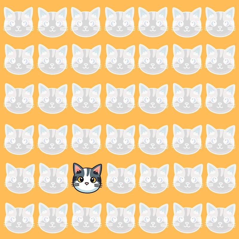 Ši optinė iliuzija įmanoma tik grandiozinį IQ turintiems žmonėms / Moje nuotr.