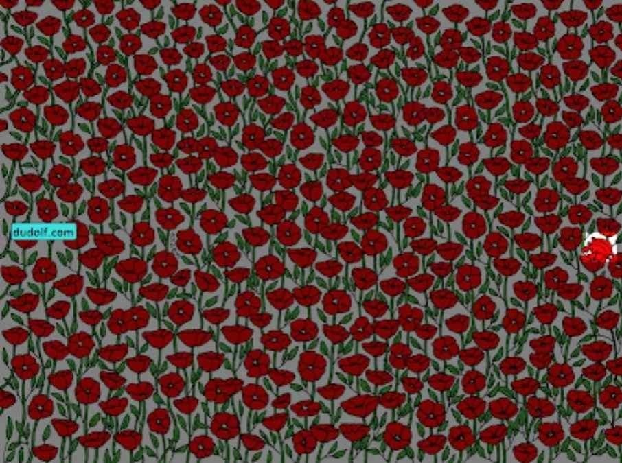 Krabą paveikslėlyje ras tik itin pastabūs: pasitikrinkite savo IQ per 25 sekundes