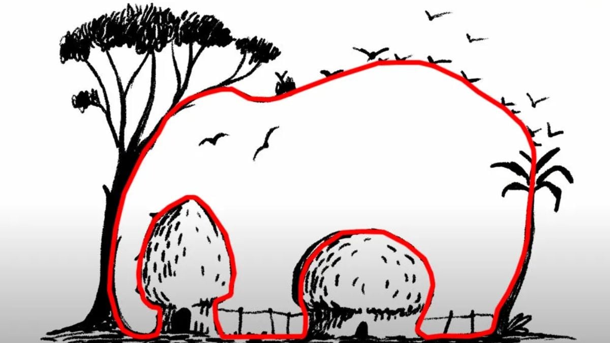 Optinės iliuzijos sprendimas