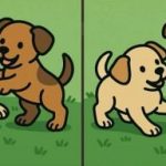 IQ testas: per 51 sekundę suraskite 3 skirtumus dviejų šuniukų