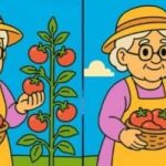 IQ testas: per 51 sekundę suraskite 3 skirtumus senolės nuotraukose