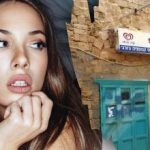 Tik genijus per 7 sekundes gatvėje rastų šunį: sudėtinga optinė